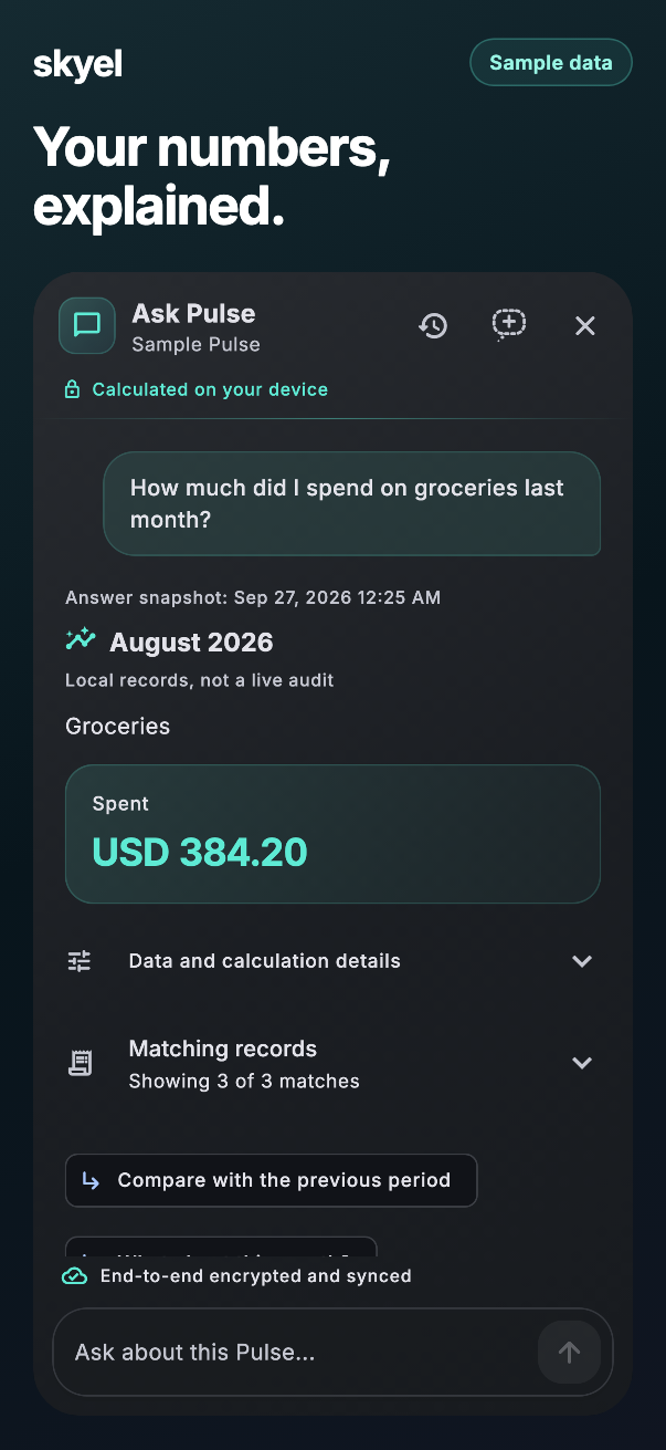 Ask Pulse totals a sample month's grocery spending in an encrypted conversation. All records shown are fictional.